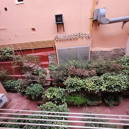 Piso Acogedor Vitoria-Gasteiz