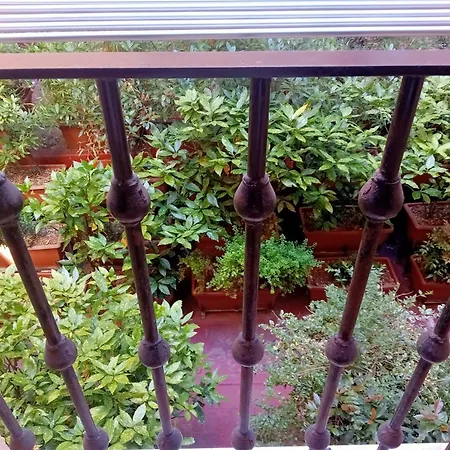 Piso Acogedor Lejlighed *